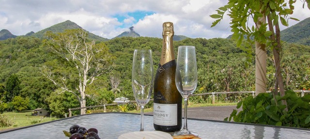 A View of Mt Warning B&B