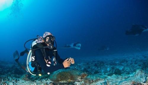 Addu Scuba Dive
