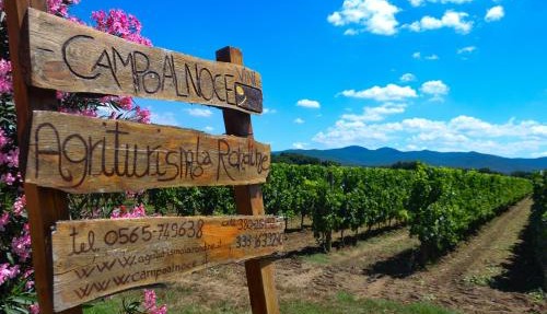 Agriturismo La Rondine