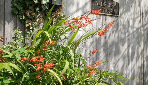 Alderley House