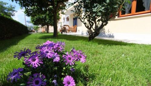 Antares Apartments