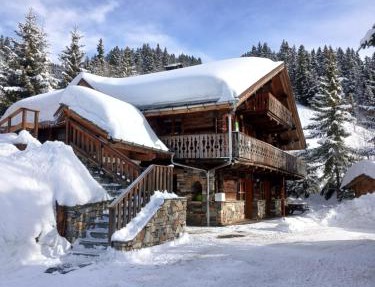 Appartement dans chalet aux saisies-100m des pistes-cœur station 13 pers