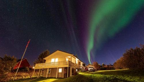 Arctic Serenity