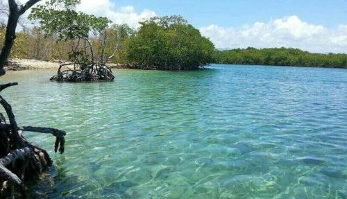 Bayoyas House Your Coastal Oasis in Salinas PR