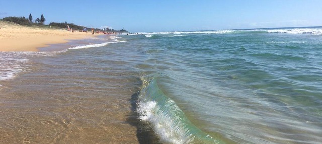 BEACH Luxury Upmarket 2B 2B OCEAN VIEWS 250m to BUDDINA BEACH!