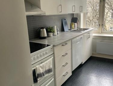 Big and Nice apartment in Oslo City center