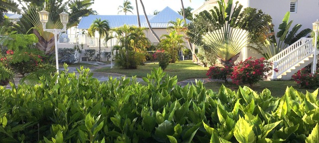 By the lagoon