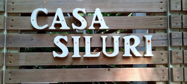 Casa SILURI