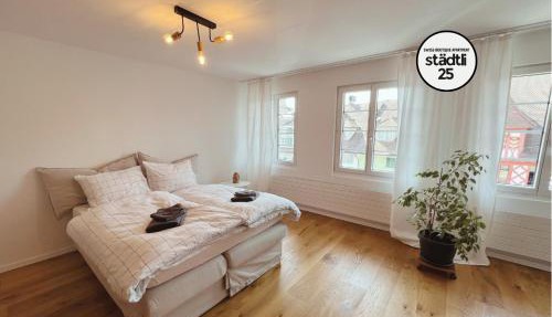 Central boutique apartment in Sempach's old town