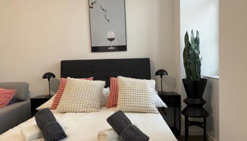 Central Renovated Premium Apartment with Free Parking