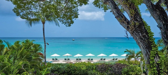 Coral Cove 4