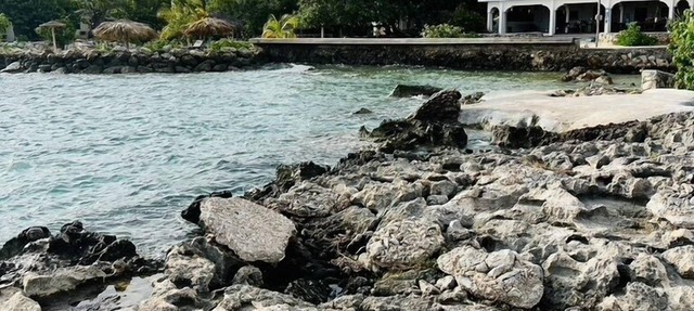 Coral Cove Wellness Resort