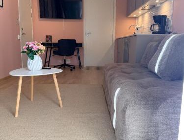 Cosy Oslo Studio , Garage , Self Check-in , WiFi