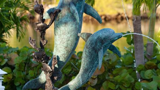 Dolphin Cove