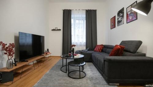 Downtown Comfort in a Spacious Apartment