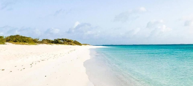 Eagle Stays Aruba