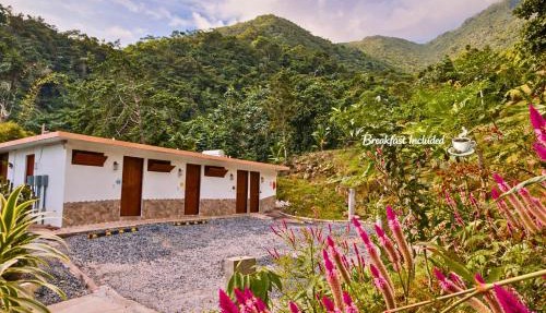 Finca Ki' - Eco Farm Stay Bed & Breakfast - El Yunque Region