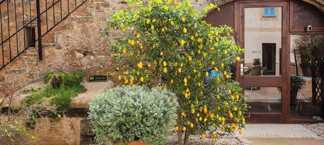 Finca Sa Canova Agroturismo