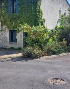 Gîte de L'estiu