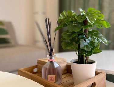 Happy studio Orient bay Palm court Residence