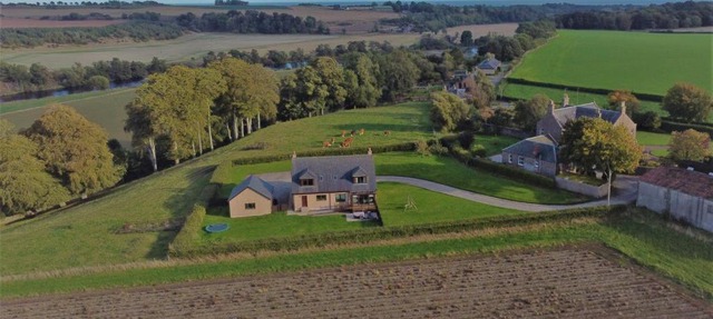 Hen Pen