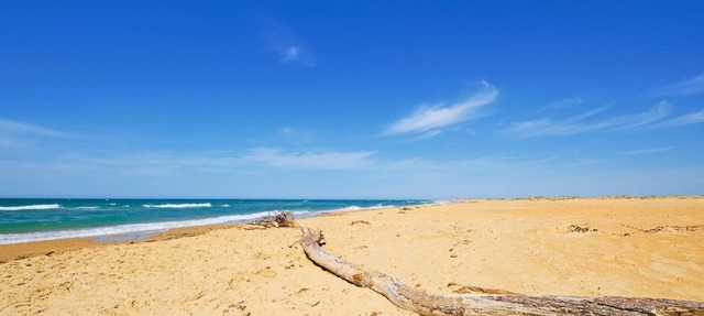 Holiday house for 8 persons approx. 65 qm in Bibione, Italian Adriatic Coast (Bibione and the surrounding area)