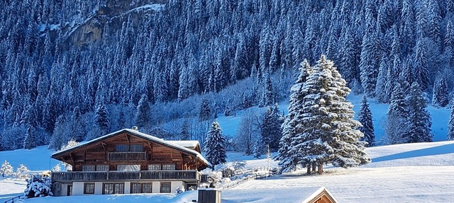 Hotel Le Grand Chalet Gstaad