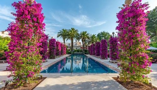Hotel Lemongarden - Adults Only