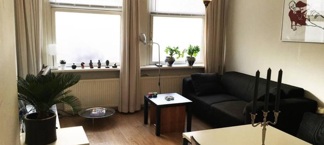 house with garden, 10 min from city centre