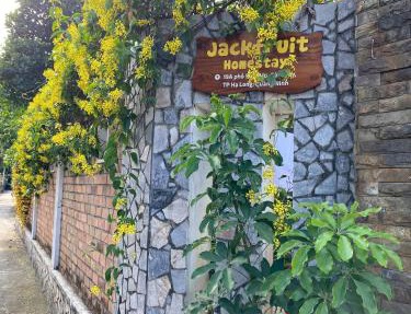 Jackfruit Homestay