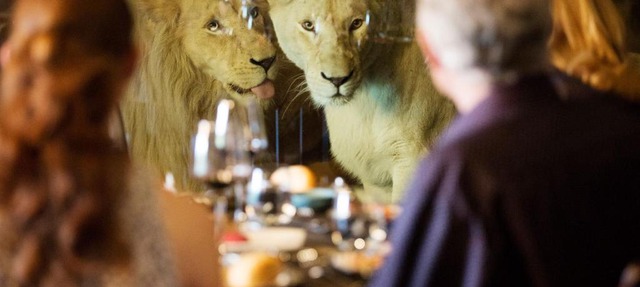 Jamala Wildlife Lodge