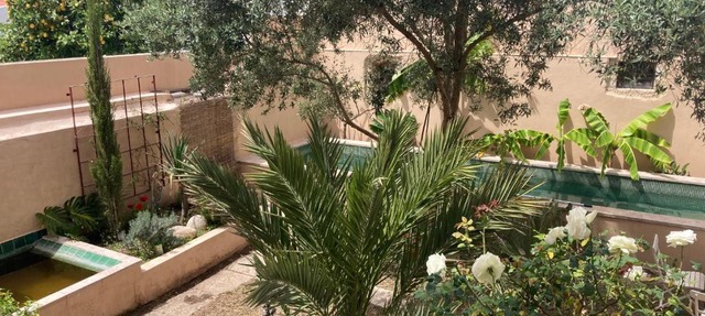 Junqueira Gardens - Casa Antiga Jardim e Piscina