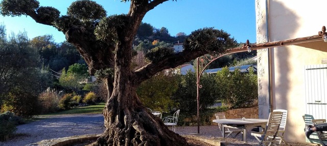 L'escale Provencale