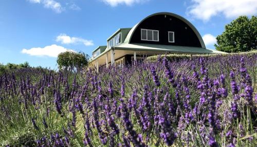 Lavender Hill