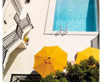 Luxurious Oasis for groups
