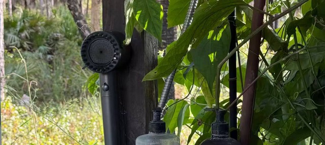 Luxury off-grid passionfruit covered shipping container immersed in nature.