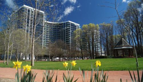 Manhattan on Glebe Park