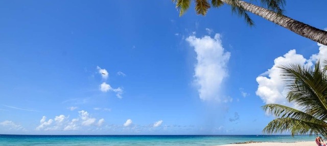 Modern 2-bed Apt Near Beach In St. Lawrence Gap 2 Bedroom Apts by Bluescape