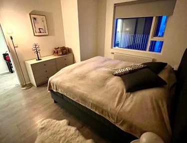 Modern Luxury Apartment Downtown