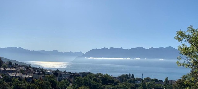 New Luxury Lake view Apartment - Lausanne