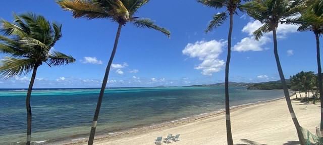 Oceanfront Sugar Beach Condo