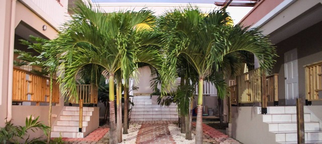 Palm Spring Inn