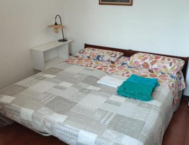 Pine view