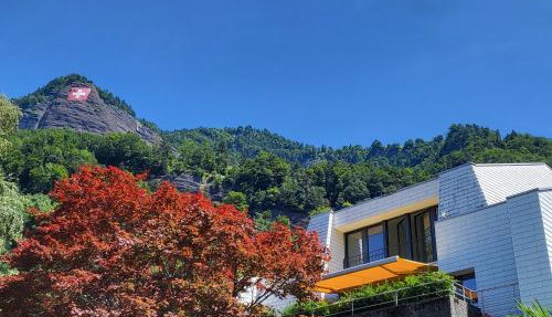 Rigi Paradise in Vitznau, Lake access, Ferry Terminal, Rigibahn, Restaurants all 2 minutes walking distance