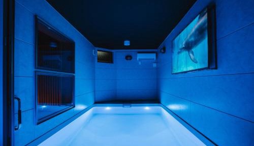 SEADINERS VILLA AOYAMA Tokyo First Metropolis Villa Pool Sauna BBQ