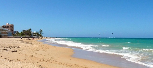 Serena Baja