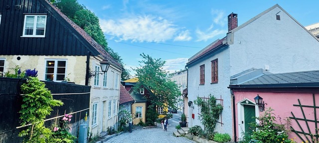 Summer Discount! Clean and Quiet n family- friendly apartment in Oslo city