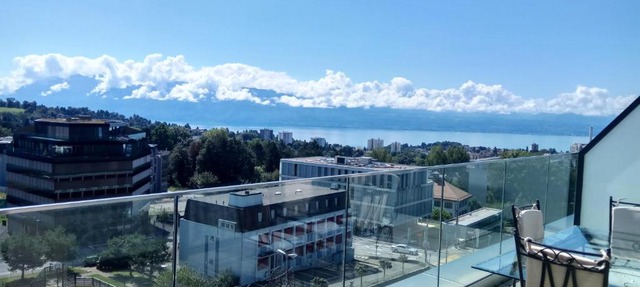 Swissart | Lake View
