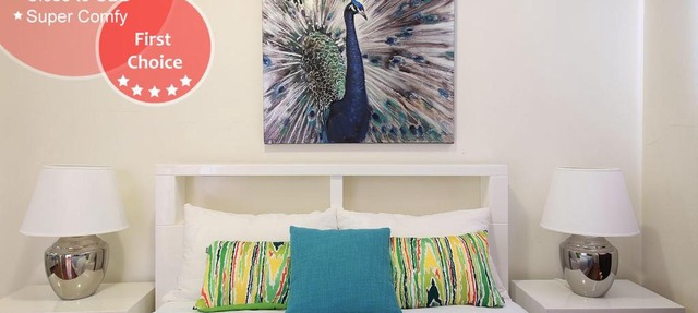 Sydney Apartment Close to Airport & CBD