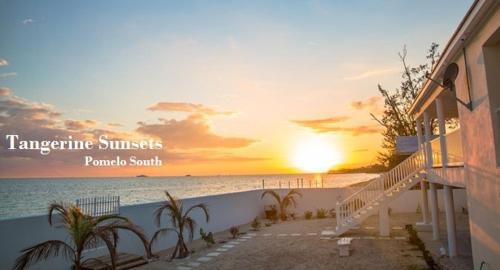 Tangerine Sunsets Pomelo South